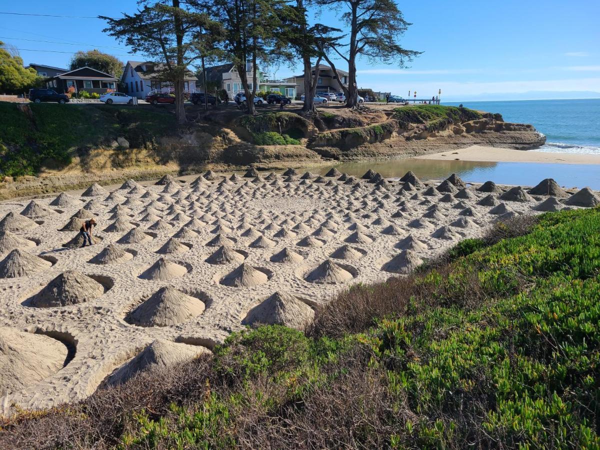 Sunny Cove Motel Capitola Eksteriør bilde