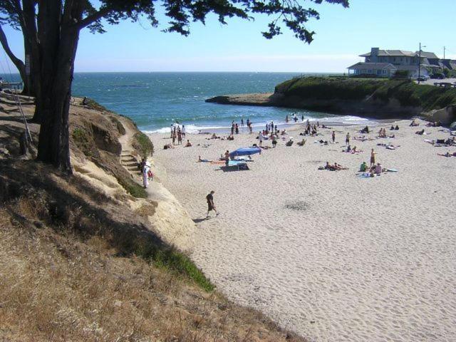 Sunny Cove Motel Capitola Eksteriør bilde